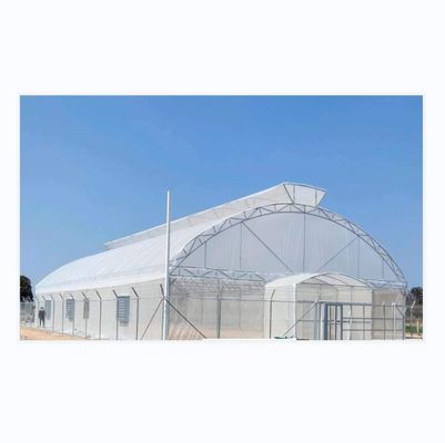 Disegno Shine Tech Tunnel a lunghezza singola Serre agricole