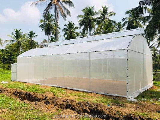 Disegno Shine Tech Tunnel a lunghezza singola Serre agricole
