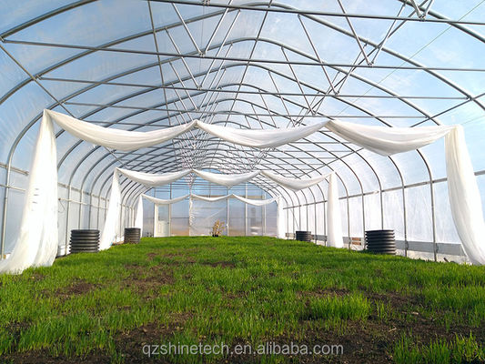 Disegno Shine Tech Tunnel a lunghezza singola Serre agricole