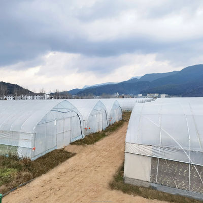 Disegno Shine Tech Tunnel a lunghezza singola Serre agricole