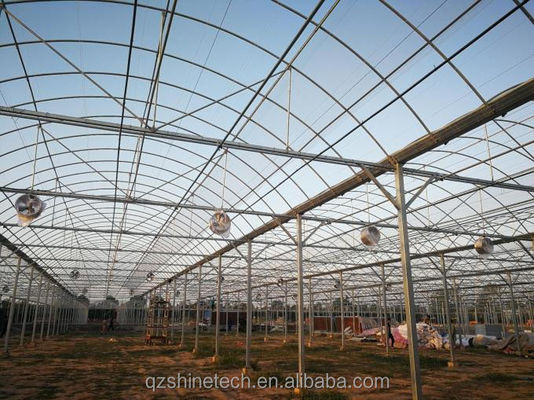 Grandi pellicole Inseritori agricoli Sistema completamente automatizzato di privazione della luce per l'agricoltura