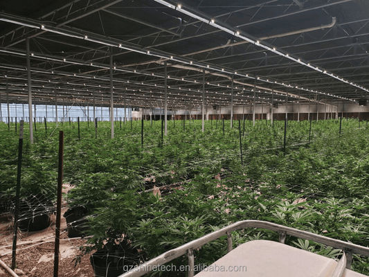 8m-12m larghezza di spirale serra completamente automatizzata per l'agricoltura superiore