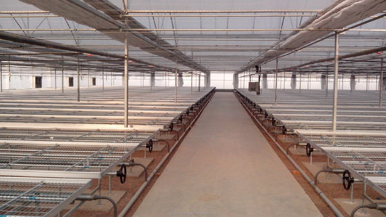 8m-12m larghezza di spirale serra completamente automatizzata per l'agricoltura superiore