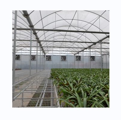 Serra a polifilm multi-spans per l'agricoltura sistema di raffreddamento e irrigazione opzionale