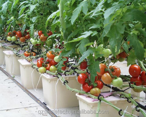 30*25*23cm sistema di coltivazione idroponica per pomodori, cetrioli e pepe