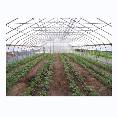 Agricoltura dei cetrioli In mini galleria agricola serra con telaio in acciaio galvanizzato