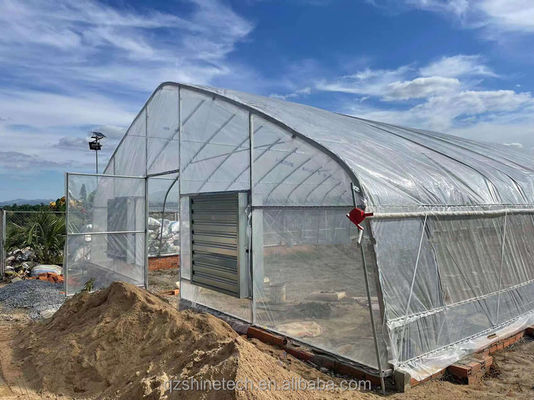 Agricoltura dei cetrioli In mini galleria agricola serra con telaio in acciaio galvanizzato