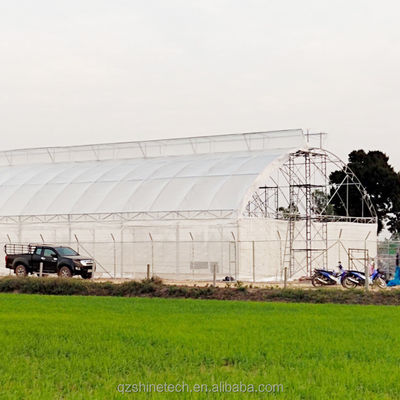 Agricoltura dei cetrioli In mini galleria agricola serra con telaio in acciaio galvanizzato