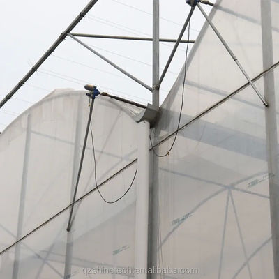 Serra a pellicola a strato singolo con telaio in acciaio galvanizzato per l'agricoltura commerciale su larga scala