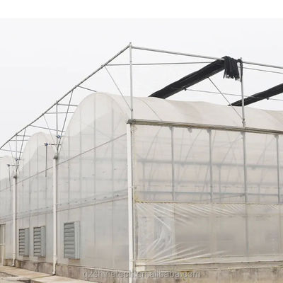 Serra a pellicola a strato singolo con telaio in acciaio galvanizzato per l'agricoltura commerciale su larga scala