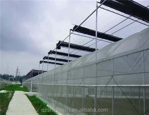 Serra a pellicola a strato singolo con telaio in acciaio galvanizzato per l'agricoltura commerciale su larga scala