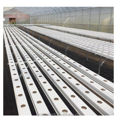 Provvedimento di ispezione video 100*50mm PVC Planting Gully per la coltivazione idroponica NFT personalizzata