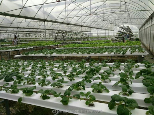 Provvedimento di ispezione video 100*50mm PVC Planting Gully per la coltivazione idroponica NFT personalizzata
