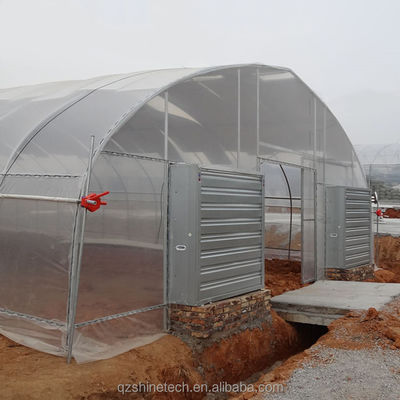 Sistema di raffreddamento Serre agricole a singolo tratto per l'agricoltura dei pomodori