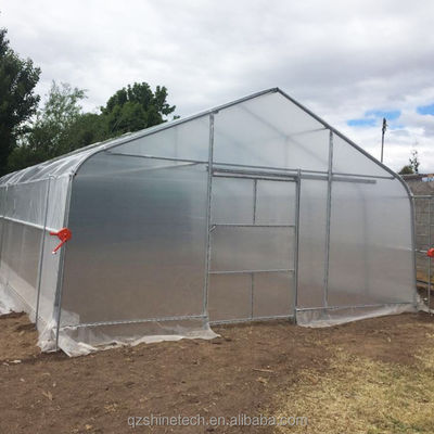 Serra a pellicola singola con ventilazione laterale e a tetto per la coltivazione di pomodori