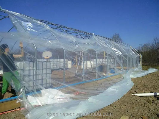 Film di protezione UV per il sistema di raffreddamento con elevata trasparenza luminosa e trasparenza