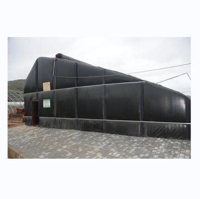 Serra solare coperta da pellicola per la coltivazione sostenibile di cetrioli invernali