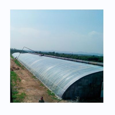 Serre agricole a lunghezza singola durevoli per la produzione di ortaggi invernali