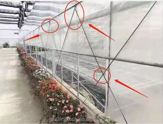 Banda di pellicola per serre 200m 250m 300m Lunghezza