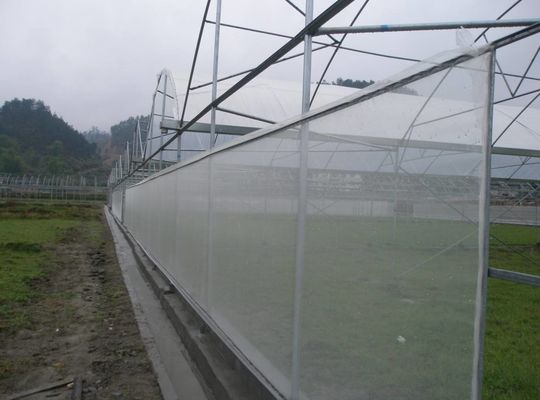 30-150G Rete di ombra per serre protetta da UV HDPE e rete antinfestante per il controllo degli insetti nocivi