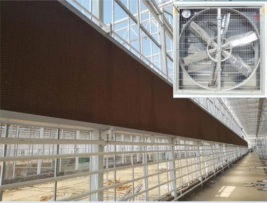 Ventilatore di scarico di grande portata per impianti di ventilazione per pollame in serra 60 kg