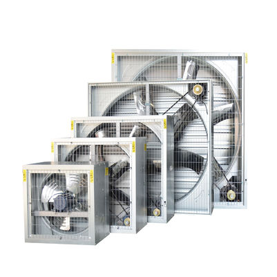 380/220V Industria avicola Ventilazione in serra Ventilatore di scarico e pad di raffreddamento