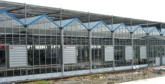 380/220V Industria avicola Ventilazione in serra Ventilatore di scarico e pad di raffreddamento