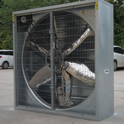 380/220V Industria avicola Ventilazione in serra Ventilatore di scarico e pad di raffreddamento