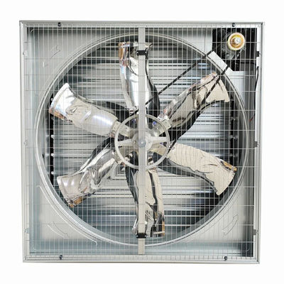 Ventilatore di scarico a martello pesante montato a parete per pollame